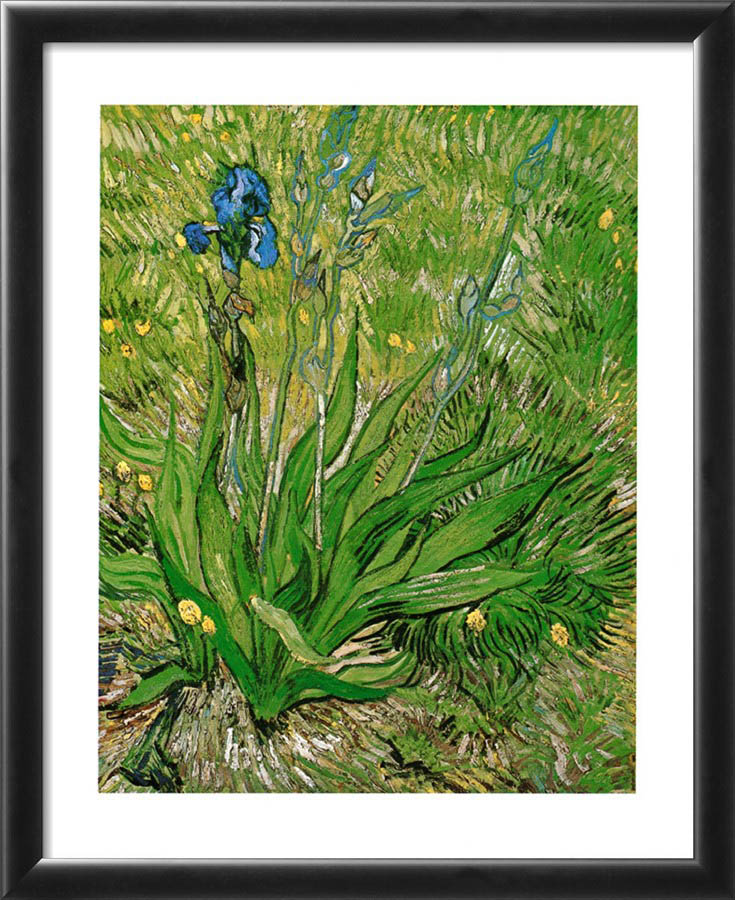 The Iris - Van Gogh Painting On Canvas